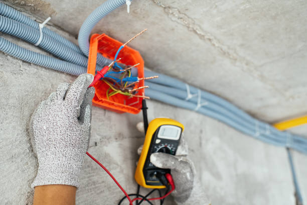 Best Electric Panel Repair  in Cave City, AR